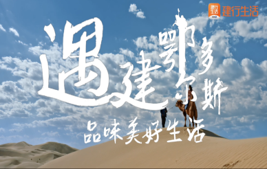 &#21338;&#40060;&#20307;&#32946;&#40;&#20013;&#22269;&#41;&#23448;&#26041;&#32593;&#31449;&#45;&#30331;&#24405;&#20837;&#21475;